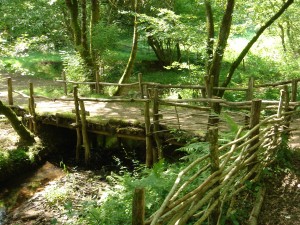 pont d'entrée