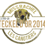 Teckel d'or 2014