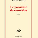 Preview de GN : Le paradoxe du Caméléon